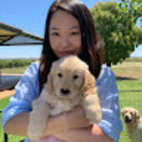 Meet the Posher Other - Meet your Posher, Sue